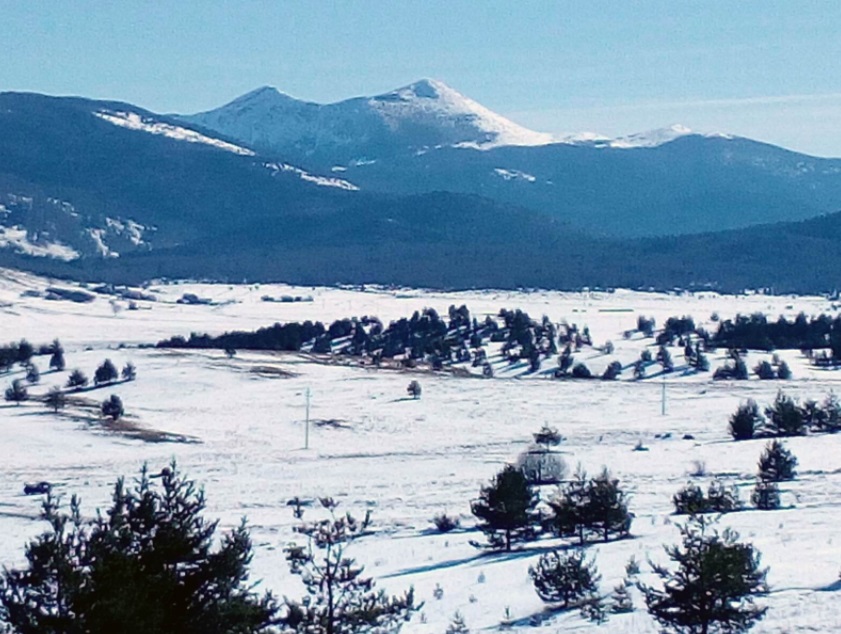 “Vuk samotnjak” iz BiH: Živi potpuno sam u cijelom selu i “puno mu je srce”