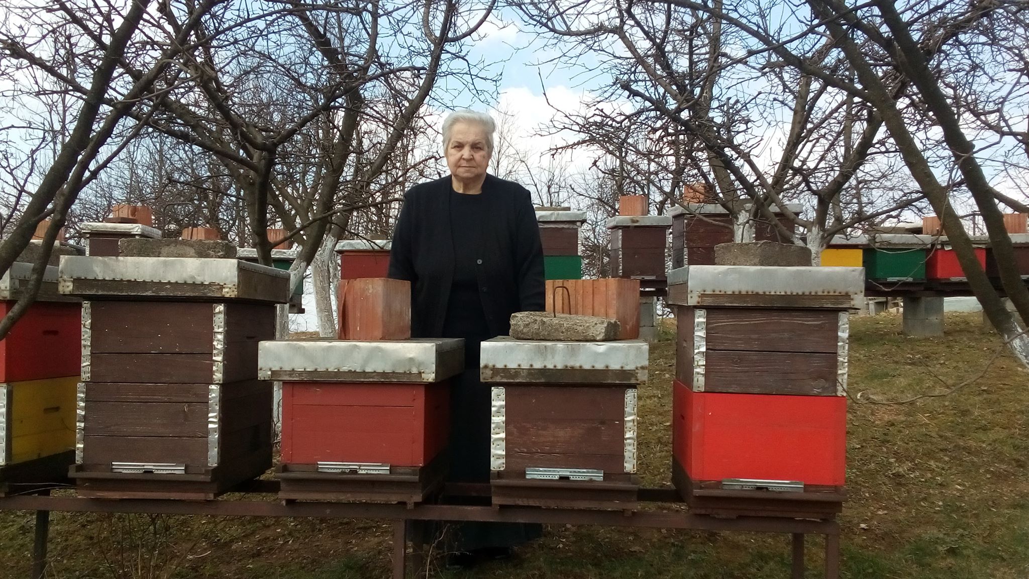 Razija Hrvić, tešanjska pčelarka odgojila “pet koljena” pčelara u Tešnju