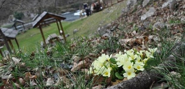 Danas''udara'' treće džemre - saznajte šta to znači i šta nam to donosi