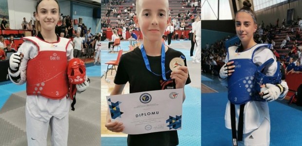 Tri člana Taekwondo akademije Tesanj-Šije plasiralo se na Evropsko prvenstvo u Estoniji