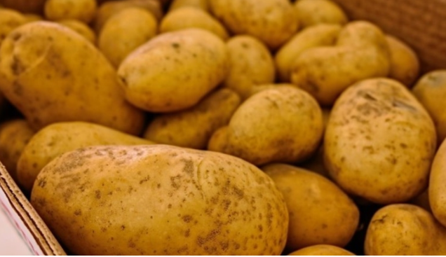 Cijene krompira na rekordnim razinama, uskoro skuplji i od 1 KM
