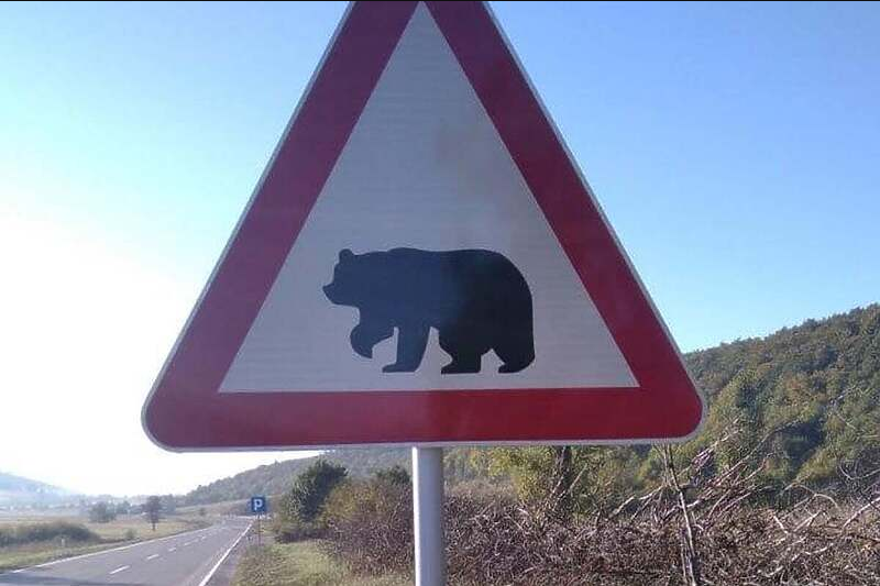 U BiH postavljen prvi znak “medvjed na cesti – vozači, oprez”