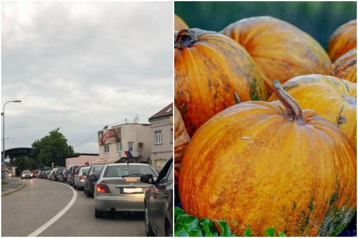 Na ulazu u Hrvatsku zbog tri tikve platili kaznu od 1.000 KM