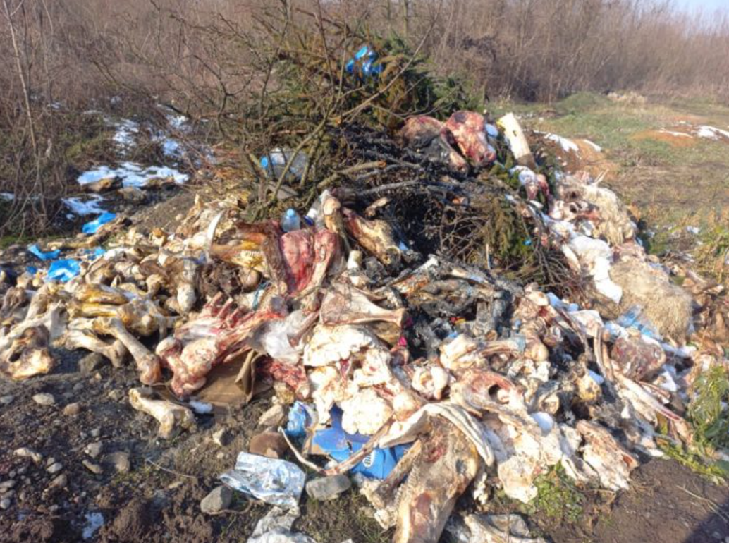 Uprkos brojnim apelima i eko-akcijama u Tešnju nepoznate osobe su odložile više tona animalnog otpada