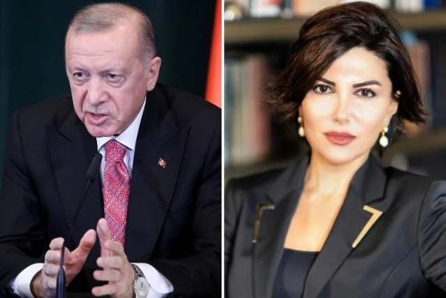 Erdogan poručio da novinarka koja ga je uporedila s bikom neće proći nekažnjeno