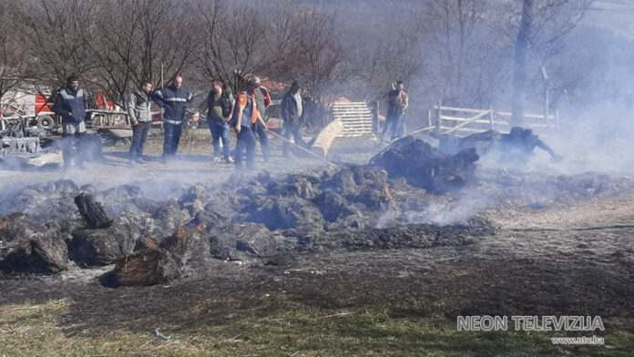 (FOTO) Prilikom požara u štali izgorjela stoka: Porodica Ramić izgubila životinje (FOTO) Prilikom požara u štali izgorjela stoka: Porodica Ramić izgubila životinje