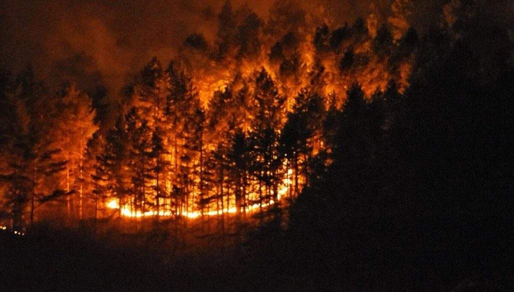 Veliki požar iznad Zenice prijeti kućama, vatrogasci i mještani gase nekontrolisanu vatru (FOTO) Veliki požar iznad Zenice prijeti kućama, vatrogasci i mještani gase nekontrolisanu vatru (FOTO)