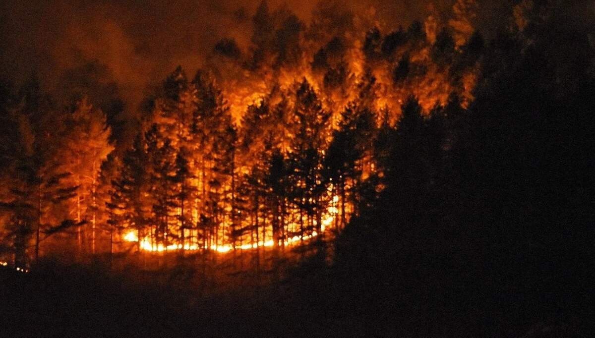 Veliki požar iznad Zenice prijeti kućama, vatrogasci i mještani gase nekontrolisanu vatru (FOTO)