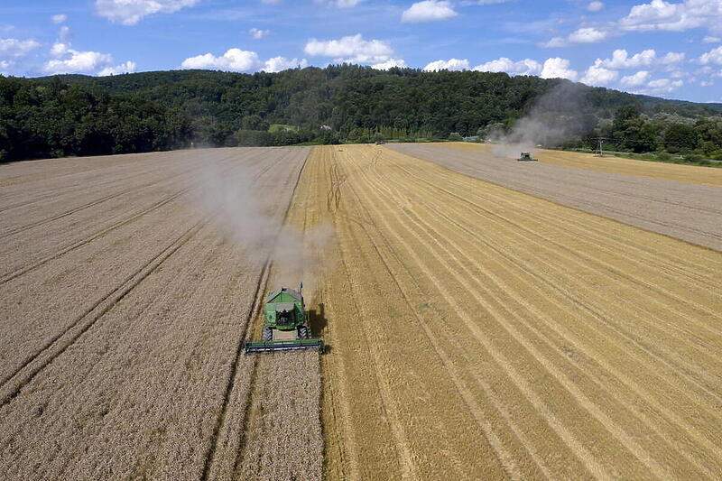 Cijene pšenice i drugih žitarica na tržištu dosegle rekord, nova poskupljenja neizbježna￼￼