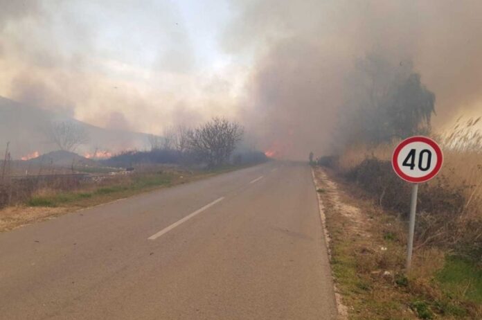 Užas u BiH: Zapalila se trava i košnica sa pčelama, vatrogasci pored pronašli mrtvo tijelo muškarca Užas u BiH: Zapalila se trava i košnica sa pčelama, vatrogasci pored pronašli mrtvo tijelo muškarca