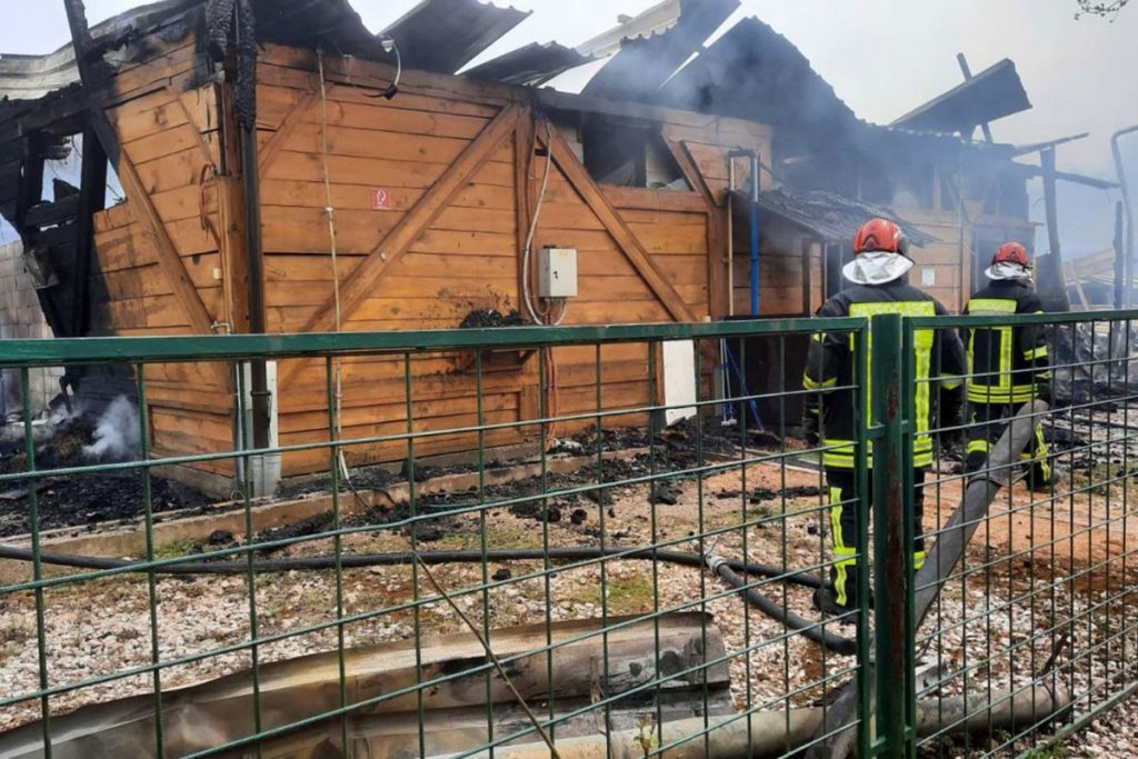 BUKTINJA PROGUTALA FARMU KOD LUKAVCA: Stoka bježala od požara, jedan dio životinja stradao BUKTINJA PROGUTALA FARMU KOD LUKAVCA: Stoka bježala od požara, jedan dio životinja stradao