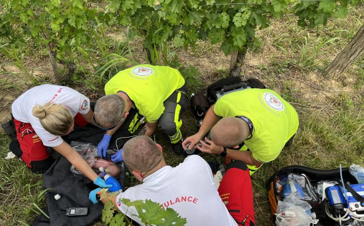 Uznemirujući video / Porodila se u vinogradu, ostavila dijete i pobjegla preko granice