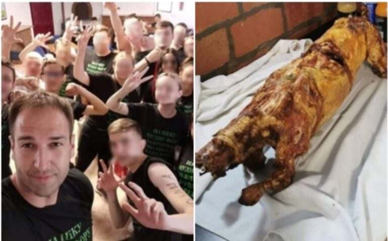 HIT: UČENICI SVOM RAZREDNIKU POKLONILI PEČENO JANJE HIT: UČENICI SVOM RAZREDNIKU POKLONILI PEČENO JANJE