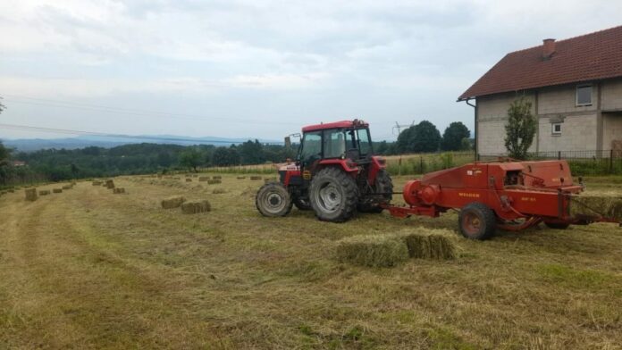 Poskupilo i košenje trave i baliranje sijena: Za njivu od jedan hektar troškovi su oko 740 KM. Poskupilo i košenje trave i baliranje sijena: Za njivu od jedan hektar troškovi su oko 740 KM.
