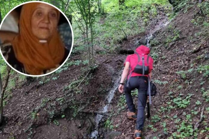 U BEGOVOM HANU NESTALA ISMETA BEČIĆ, TRAJE VELIKA POTRAGA U BEGOVOM HANU NESTALA ISMETA BEČIĆ, TRAJE VELIKA POTRAGA