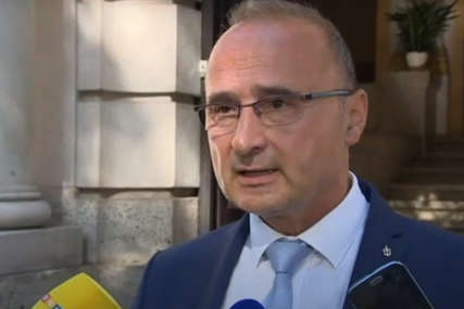 GRLIĆ RADMAN NEGODUJE: REZOLUCIJA BUNDESTAGA O BIH NIJE STAV NJEMAČKE GRLIĆ RADMAN NEGODUJE: REZOLUCIJA BUNDESTAGA O BIH NIJE STAV NJEMAČKE