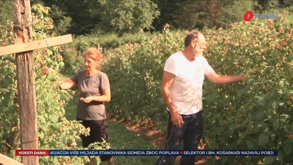 Sve više ljudi u BiH napušta poljoprivredu: Za desetak godina zatvoreno je na stotine farmi i plantaža