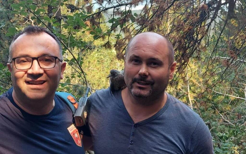 Ptica na Blidinju "pozirala" sa bh. vatrogascima koji su joj spasili život Ptica na Blidinju "pozirala" sa bh. vatrogascima koji su joj spasili život
