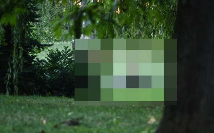 Užas u Zagrebu: U parku silovana 15-godišnja djevojčica, zlostavljači uhapšeni
