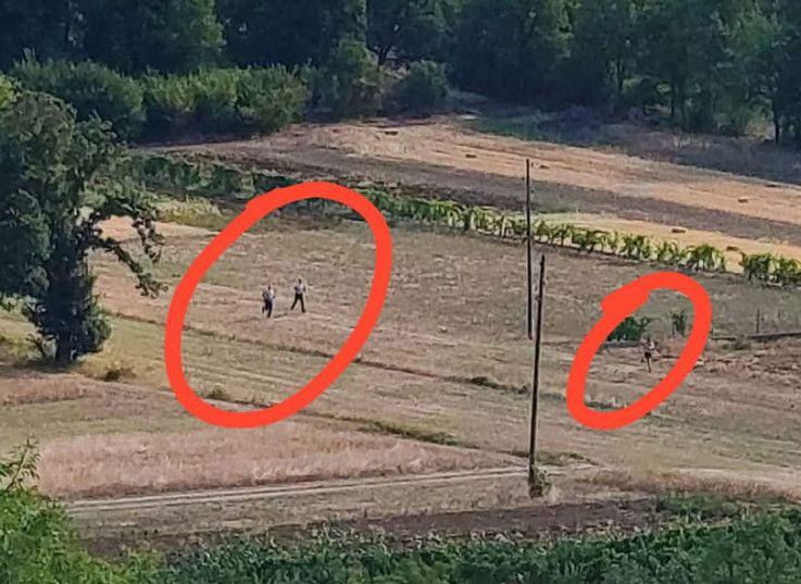 Filmske scene u Drinovcima kod Gruda: Muškarac go do pasa, naoružan bježao policiji Filmske scene u Drinovcima kod Gruda: Muškarac go do pasa, naoružan bježao policiji