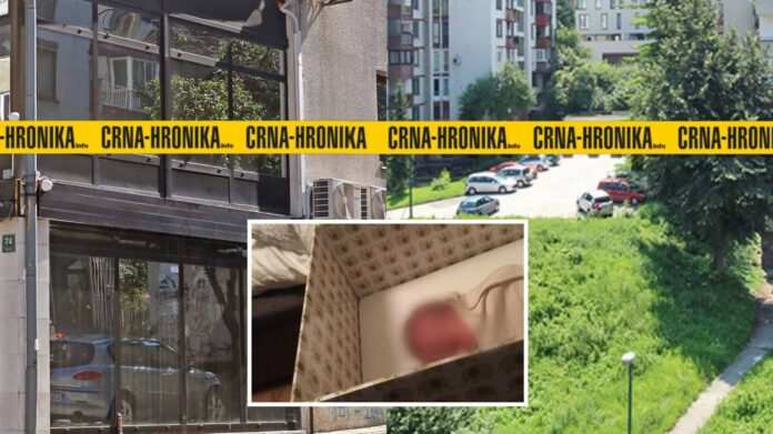 POTRESNI DETALJI PRONALASKA BEBE NA ULICI U SARAJEVU: “PRVO JE MISLILA DA MAČKA MJAUČE. A ONDA JE ULETILA VRIŠTEĆI U POLIKLINIKU” POTRESNI DETALJI PRONALASKA BEBE NA ULICI U SARAJEVU: “PRVO JE MISLILA DA MAČKA MJAUČE. A ONDA JE ULETILA VRIŠTEĆI U POLIKLINIKU”