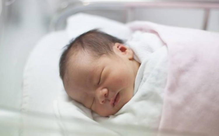 Ova općina ima pozitivan prirodni priraštaj: U protekla 24 sata rođeno šest beba Ova općina ima pozitivan prirodni priraštaj: U protekla 24 sata rođeno šest beba