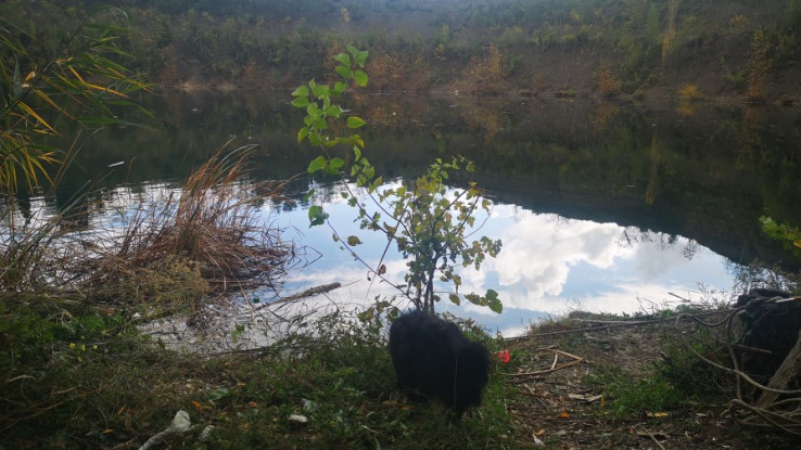 Otkrivena masovna grobnica u Mostaru? Otkrivena masovna grobnica u Mostaru?