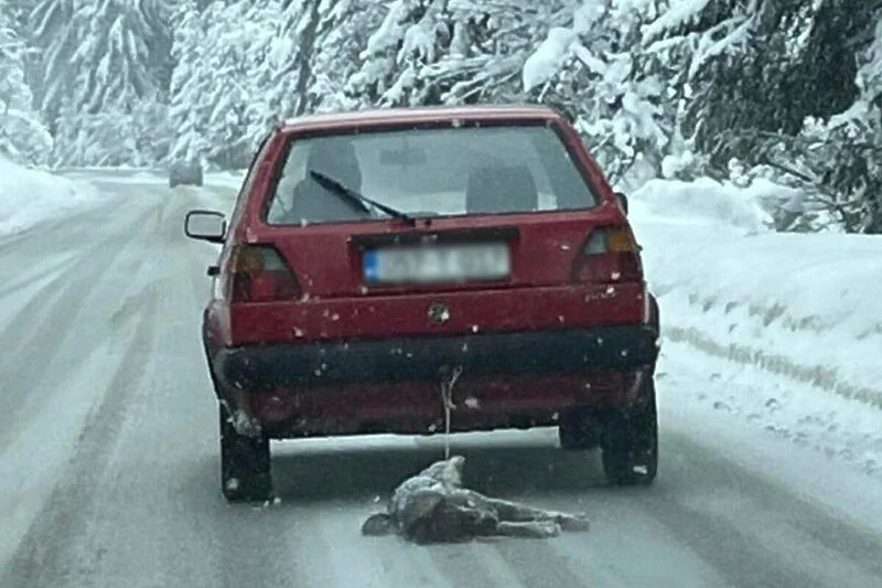 Užasan prizor sa Romanije: Vozač Golfa vezao psa za automobil i vukao ga cestom