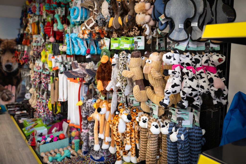 Pet City otvara novu poslovnicu u Importanne centru! Pet City otvara novu poslovnicu u Importanne centru!