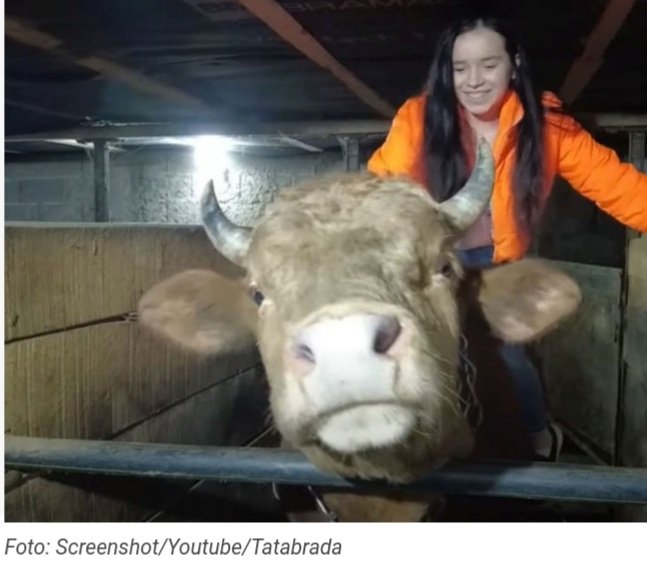 <strong>Emina ima samo 16 godina: Trenira bikove, vozi traktor i takmiči se na koridi</strong>