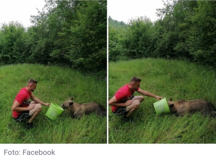 Hrabri mještani Jajca spasili nesretnu medvjedicu koja se zaplela u žilet žicu