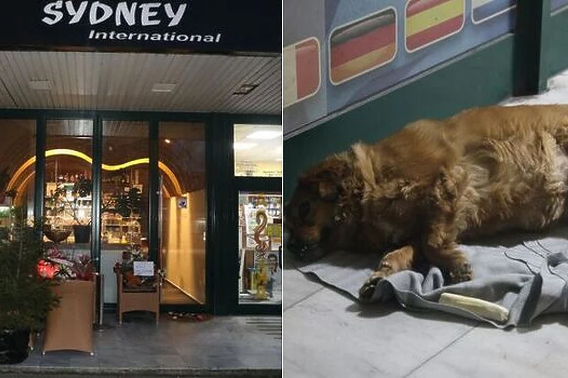 Pas ubijene Tuzlanke ne odlazi ispred kafića gdje se sinoć desio stravičan zločin