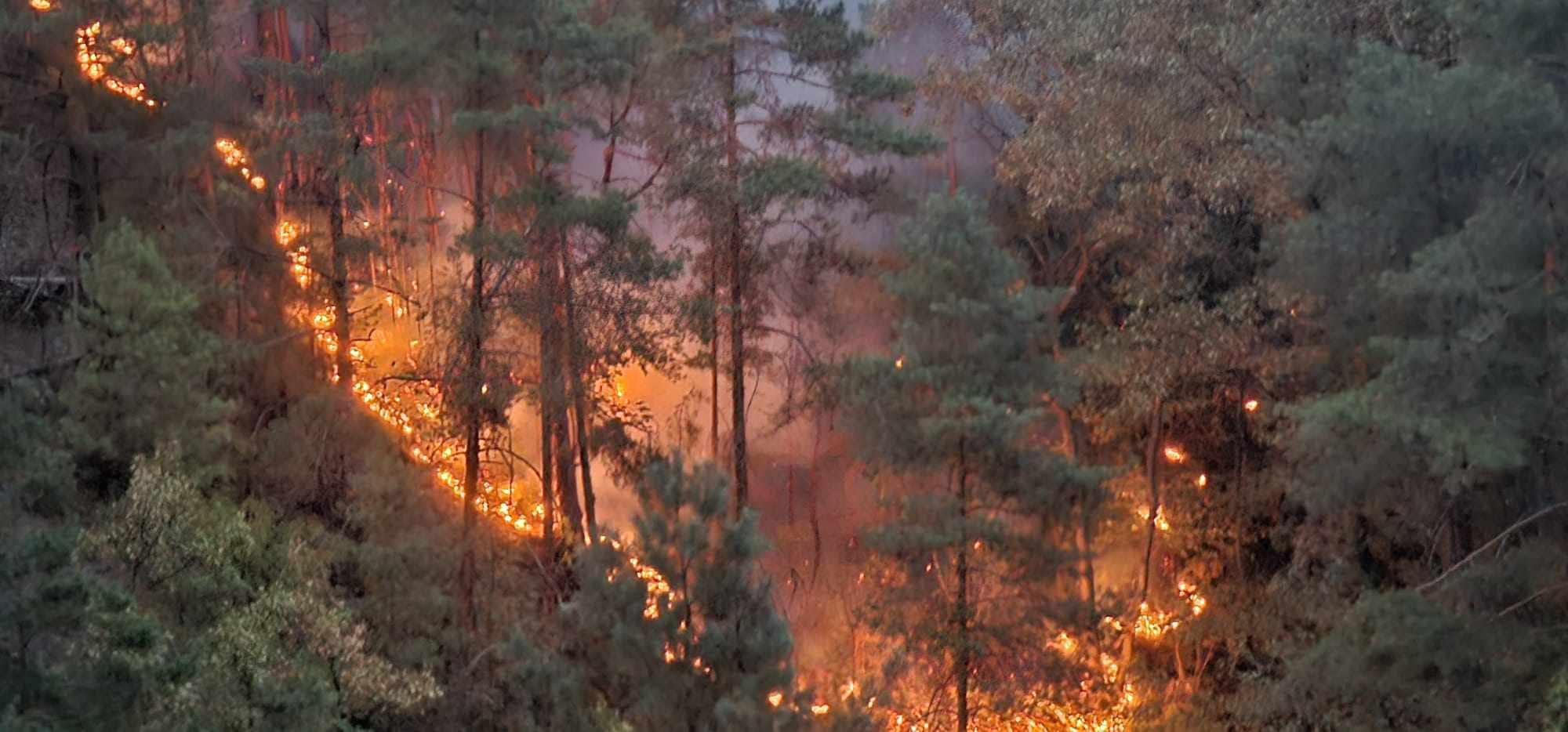 Paljenje niskog rastinja uzrok požara koji se širi prema Crnom vrhu: Ugroženo 11 hektara šume i desetine kuća