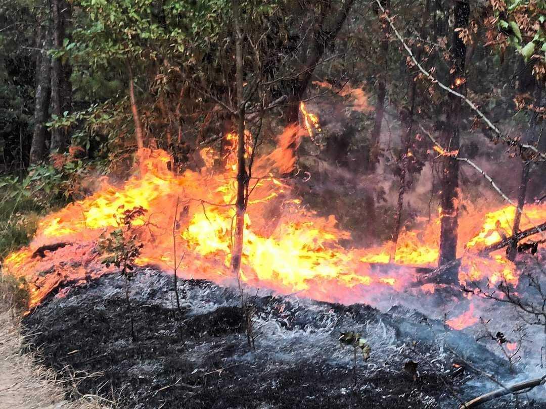 Krenuli su iz baze u Rajlovcu: Helikopteri će vrlo brzo stići na gašenje požara u rejonu Maglaja...